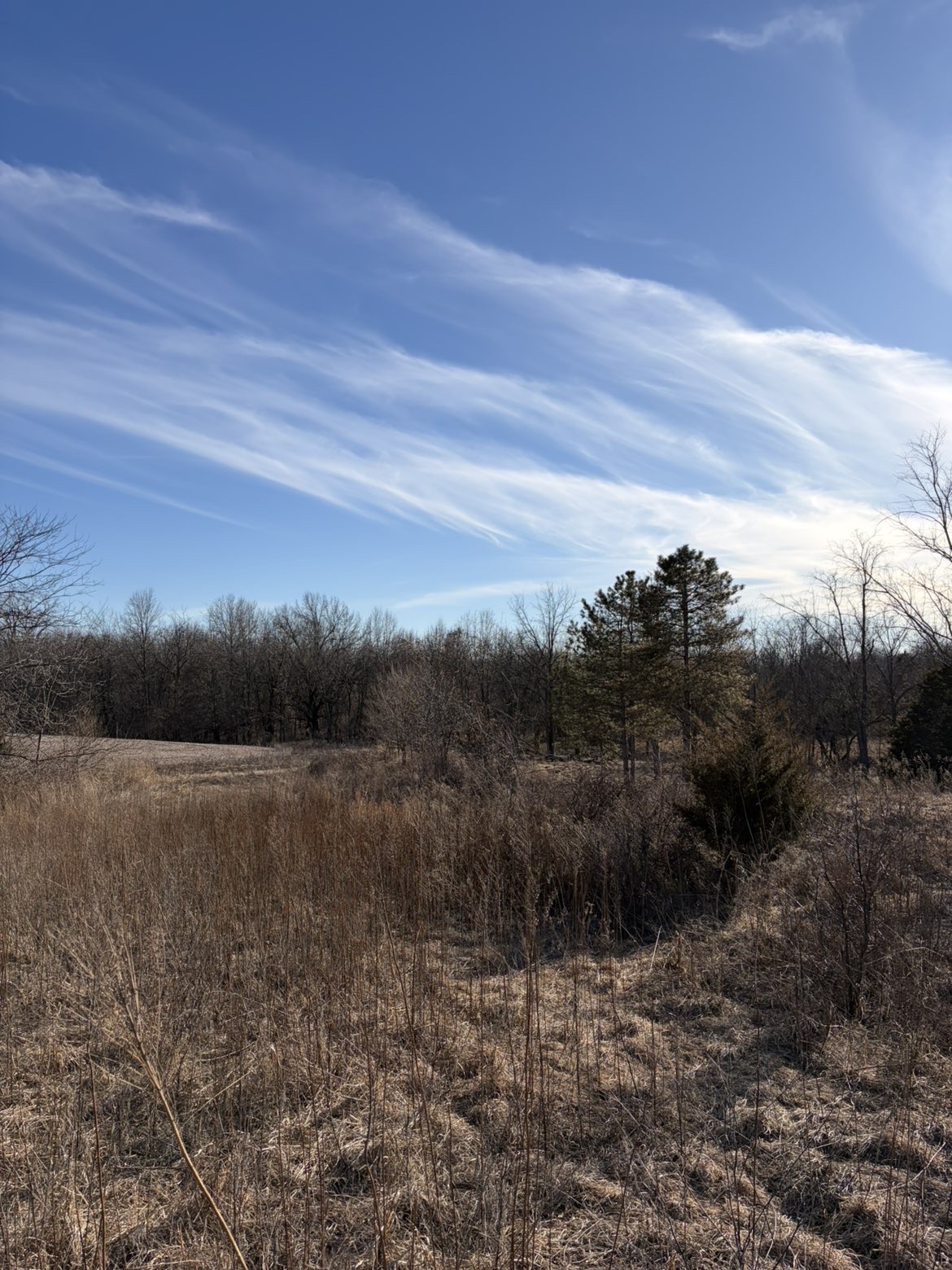 Komatsu excavator with hydraulic thumb clearing overgrown fence line, Macon County Missouri